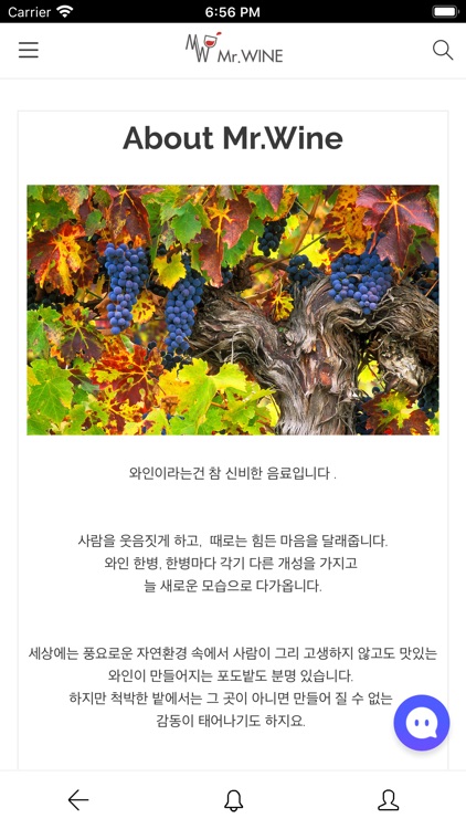 미스터와인