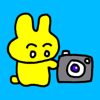 Kawaii Animal Camera