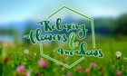 Relaxing Flowers & Meadows