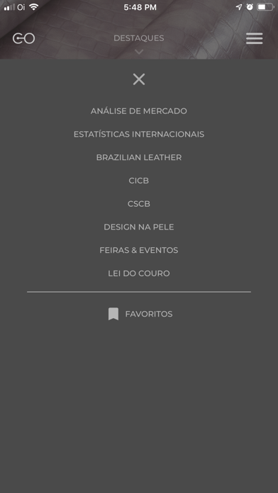 Conexão Brazilian Leather screenshot 3