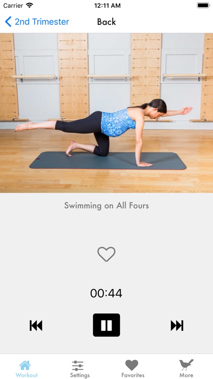Fit Pregnancy
