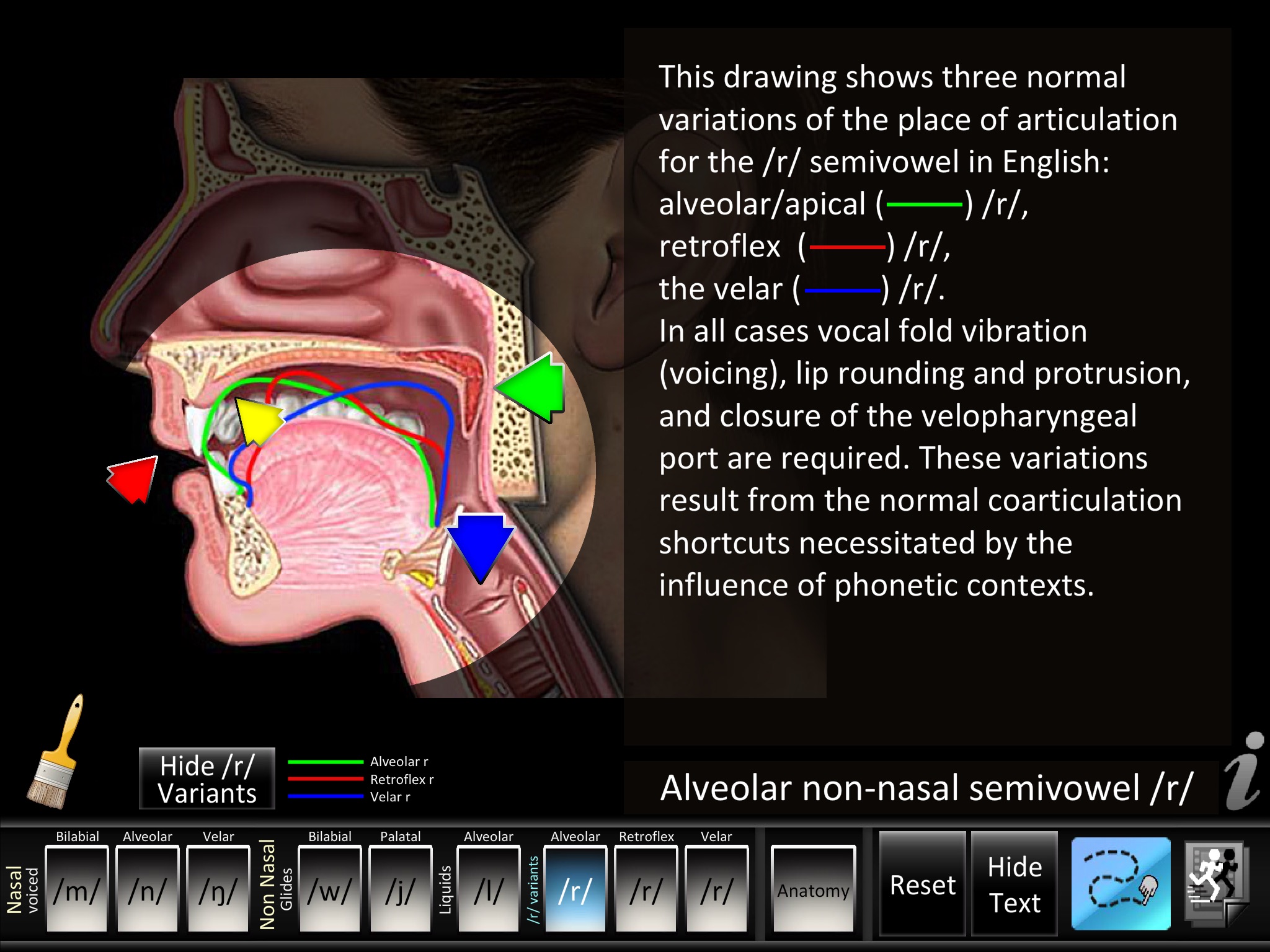 Semivowels screenshot 2