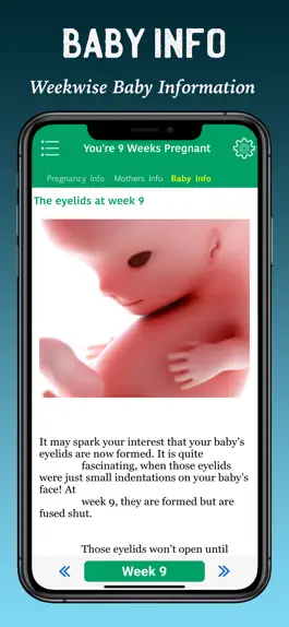 Game screenshot Pregnancy Tracker & Assistant apk