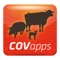 Aplicación de acceso exclusivo para los socios de COVAP