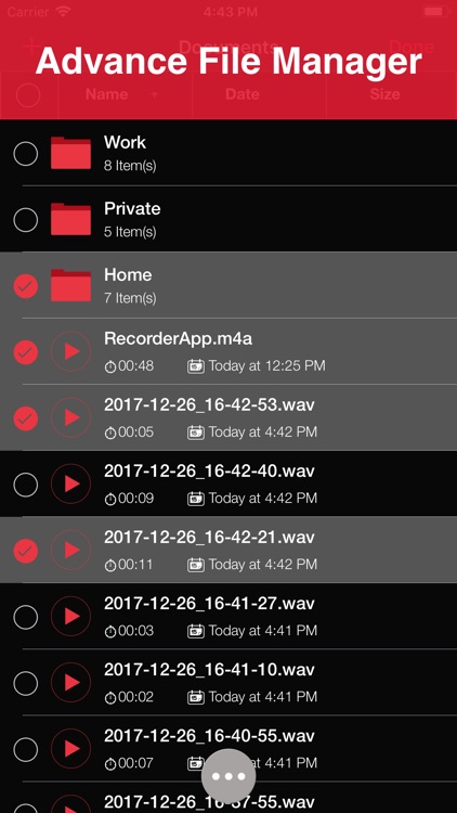 Recorder Lite: Voice Recording screenshot-3