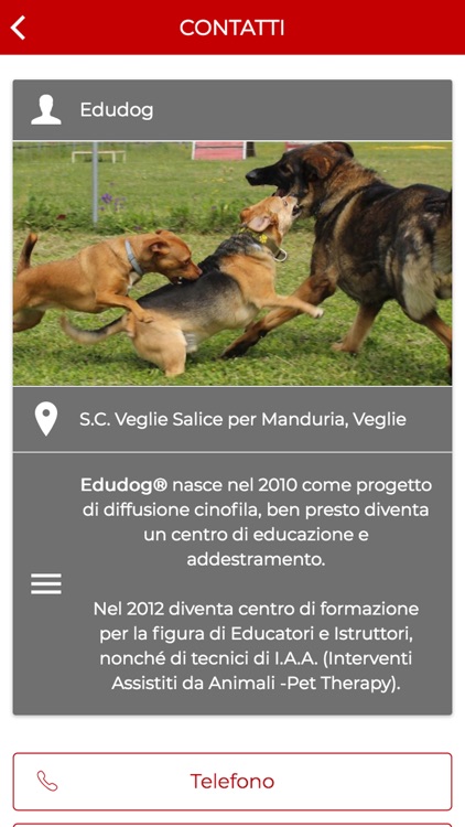 Edudog