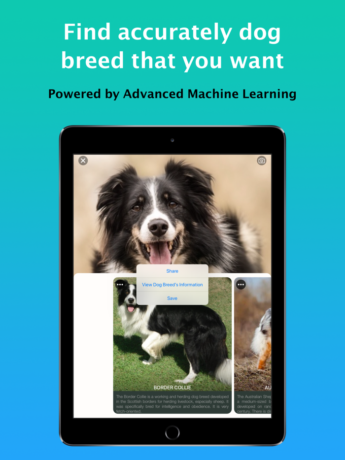 Dog Identify - Dog Scanner