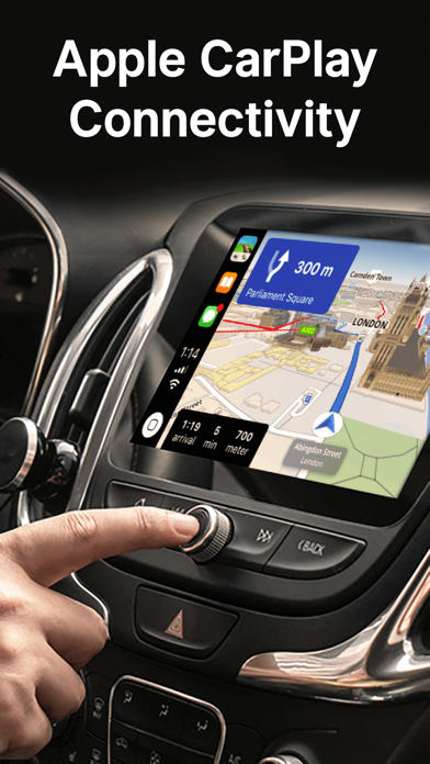 Sygic: GPS Navigation, Maps, Traffic, Speed Cameras Screenshot 5