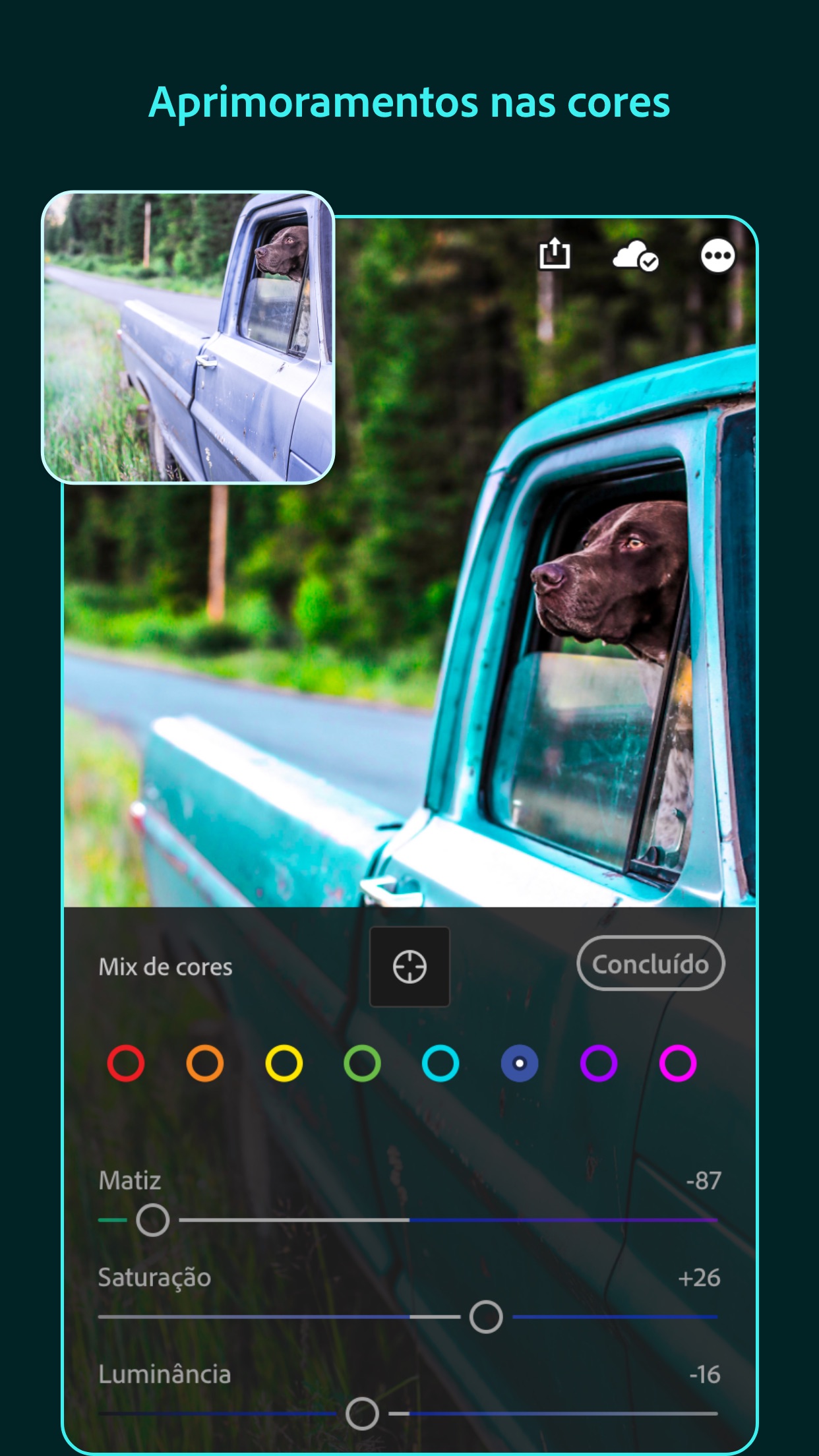Screenshot do app Adobe Lightroom: Editar Fotos