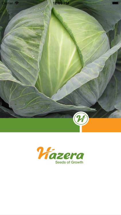 Brassica diseases