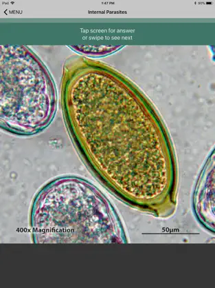 Captura 2 CAPC Internal Parasites ID iphone
