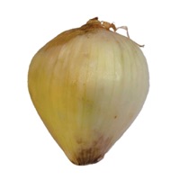 Onion pour PC