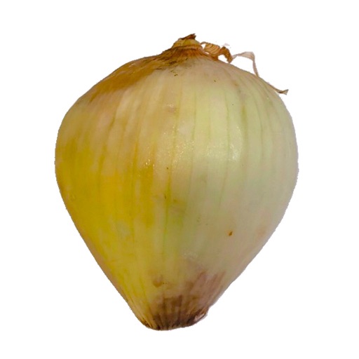Onion iOS App