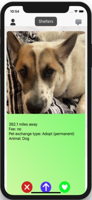 Pet Adopter: adopt/rent/borrow(圖2)-速報App