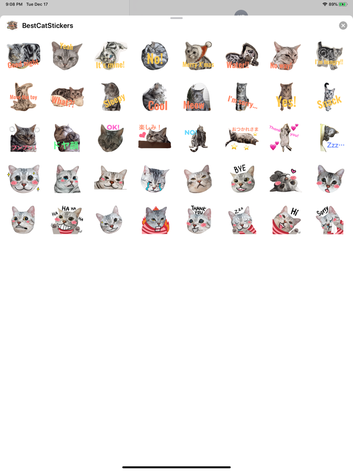 Best Cats Stickers  Emojis