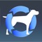 The companion app to the Pedia programs on the Mac