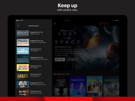 VECCHIA VERSIONE NETFLIX SCARICA