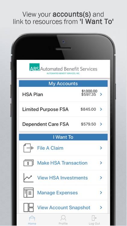 Automated Benefit Svcs FSA