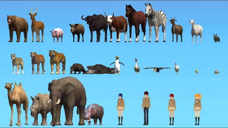 Animal School Simulator