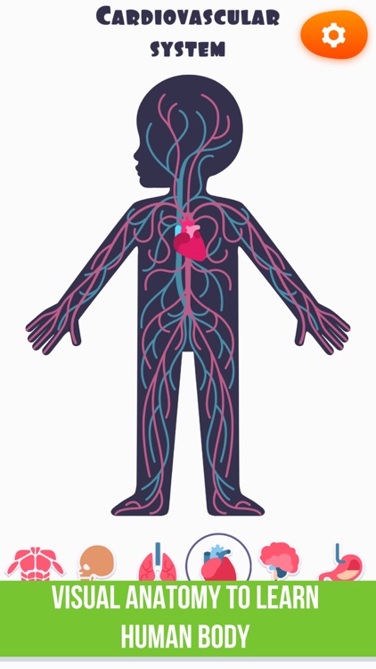 Anatomy: Complete Surgery Game