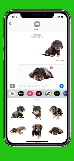 Dachshund Sticker Pack(圖3)-速報App