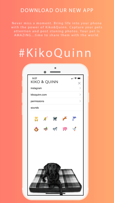 KIKO & QUINN - Pet Pics screenshot 3