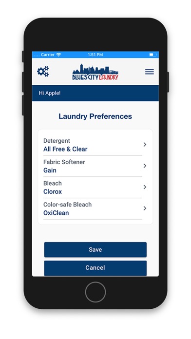 Blues City Laundry screenshot 2