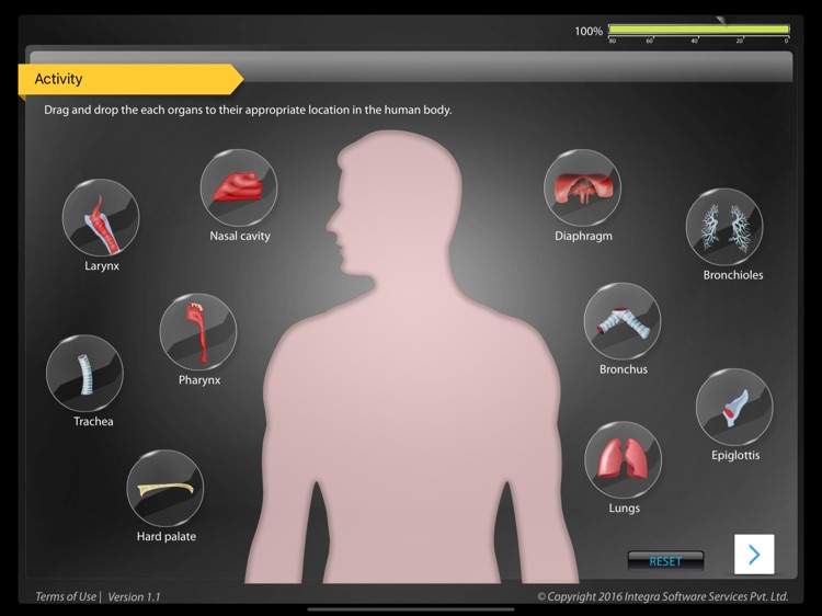 Human Anatomy Explorer AR