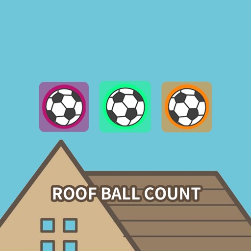 Roof Ball Count