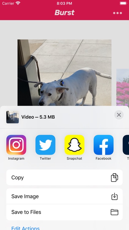 The Burst App