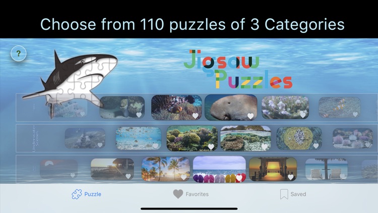 RL Puzzles