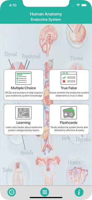 Anatomy : Endocrine System