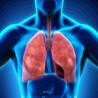 Top 30 Education Apps Like Anatomy : Respiratory System - Best Alternatives