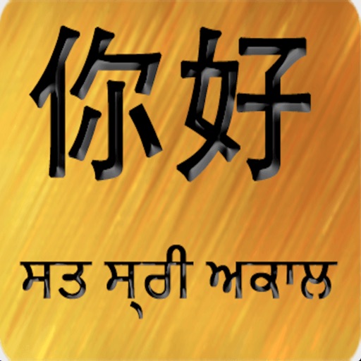 Chinese Punjabi