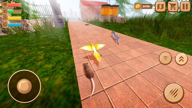 Home Pet Parrot Simulator screenshot-3