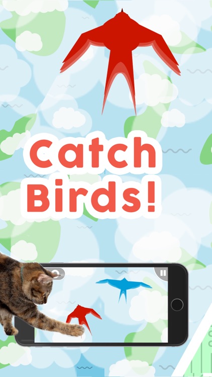 Games for Cats!