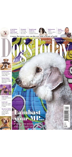 Dogs Today Magazine(圖3)-速報App