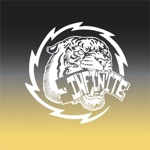 Infinite Electric Tattoo