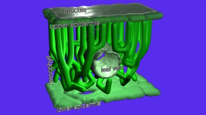 How to cancel & delete Photosynthesis in 3D from iphone & ipad 1