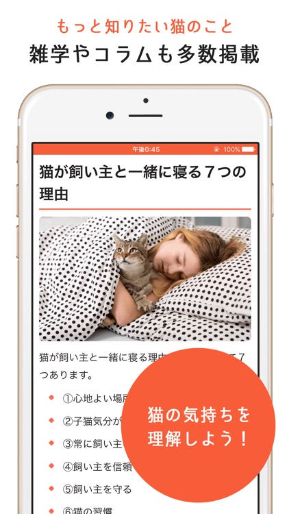 猫のニュースや飼い方の情報をまとめ読み -ねこちゃんホンポ- screenshot-3