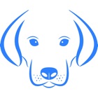 Dog Breed AI Classifier