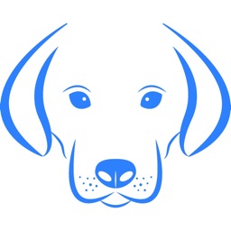 Dog Breed AI Classifier