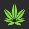 The informative cannabis social network