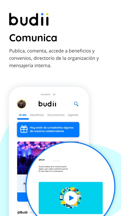 Budii