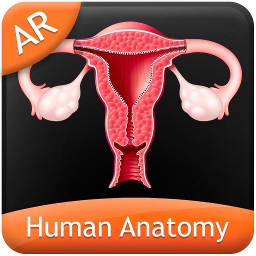 Human Anatomy - Reproductive icon