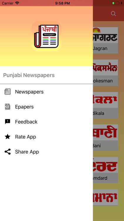 Punjabi Newspapers screenshot-4