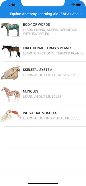 Equine Anatomy Learning Aid(圖1)-速報App