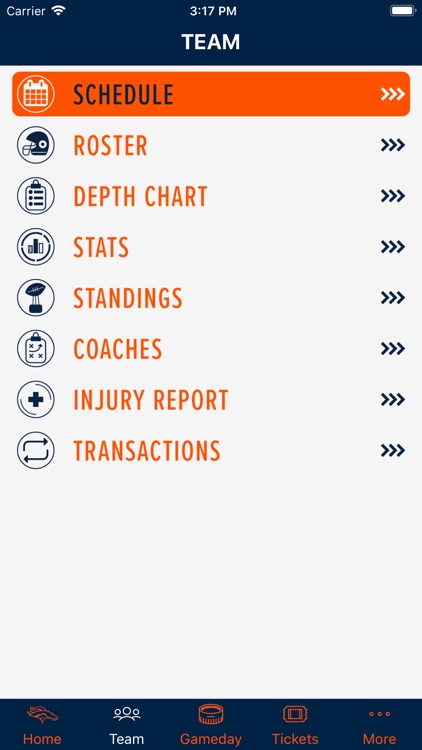 Denver Broncos 365