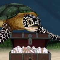 Wheres the Turtle
