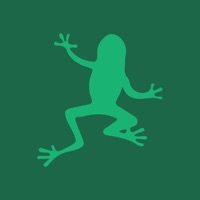 Leap Card pour PC